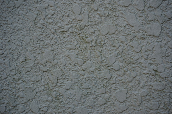 DSC04214